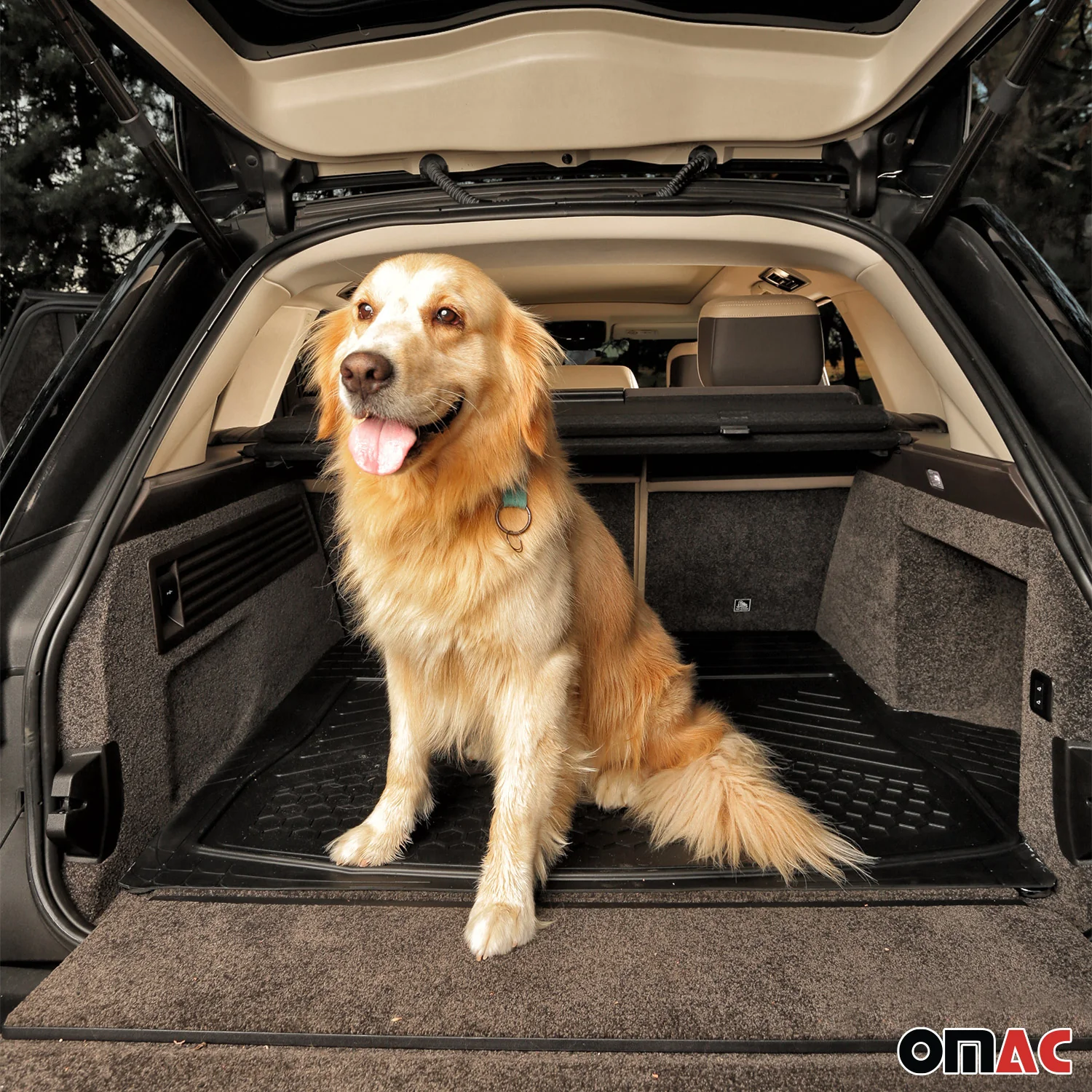 2018-2023 Kia Stinger Universal Floor Mats & Cargo Liner Black 6 Pcs - Image 7